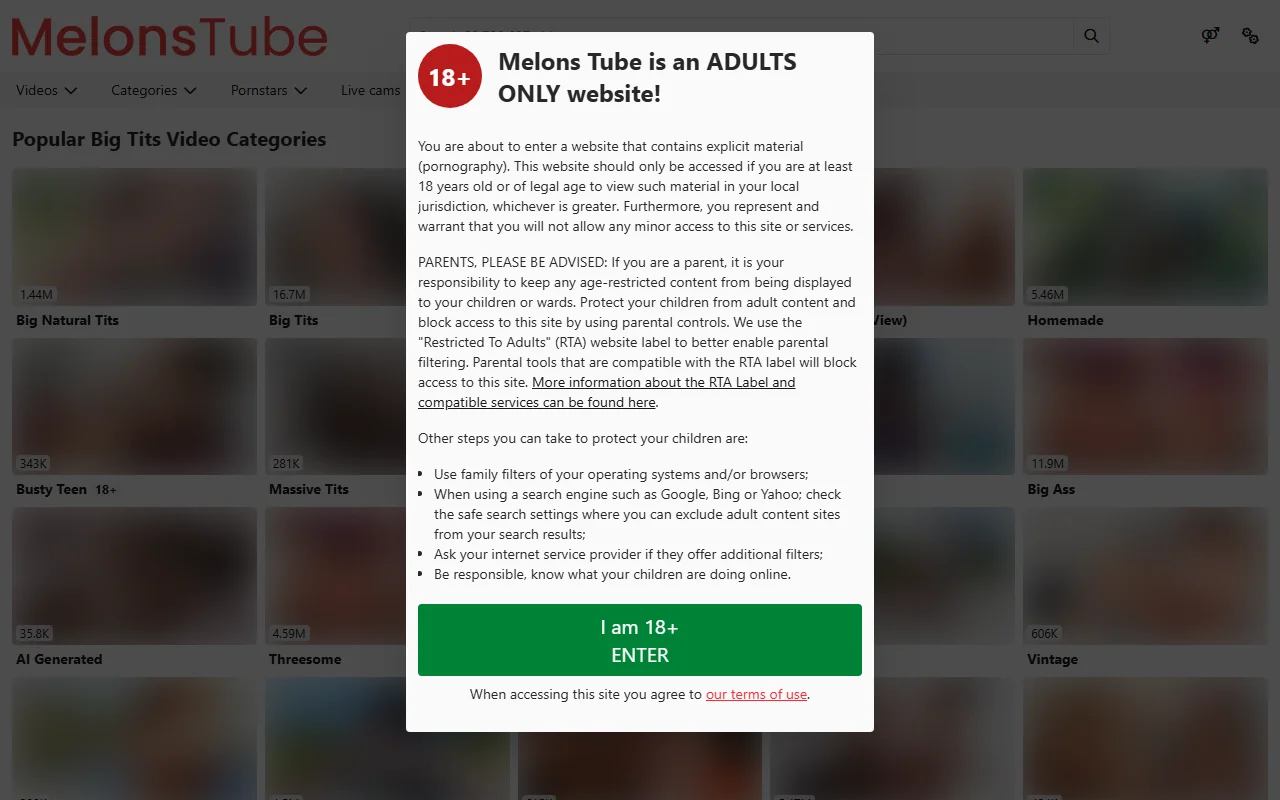 Screenshot: Melonstube Screenshot of Melonstube